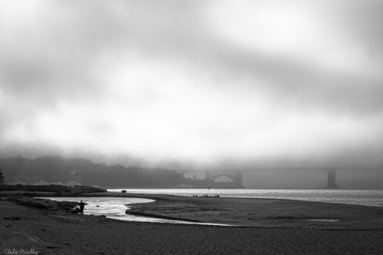 Le Golden Gate Bridge sous la brume...